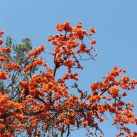 ชวนเที่ยวชมถนนดอกจานบานสะพรั่ง เก็บตะวันที่เขื่อนมูลบน