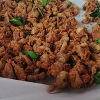 หนังไก่ทอดดาวร้าย​ ลิเกสู้ชีวิต จากพิษโควิด-19