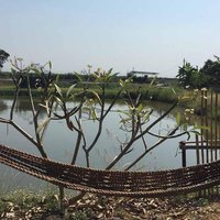 สายเส้น สายแซ่บ "ก๋วยเตี๋ยวไกวเปล" เสิร์ฟพร้อมกุ้งตัวโตๆ
