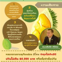 เฉลิมชัย สั่งคุมเข้มป้องกันเกษตรกรตัดทุเรียนอ่อนขาย ย้ำทุเรียนอ่อนผิดกฎหมาย