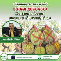 เฉลิมชัย สั่งคุมเข้มป้องกันเกษตรกรตัดทุเรียนอ่อนขาย ย้ำทุเรียนอ่อนผิดกฎหมาย