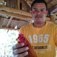 หายากหนึ่งในล้าน! ไก่ชนตาเพชร เชื่อนำโชคลาภ 