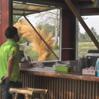 ป่าช้าคาเฟ่ บรรยากาศวิเวกวังเวง กลิ่นอายของป่าช้า แต่ได้บุญ