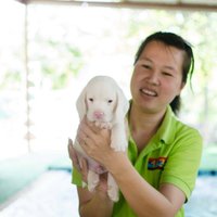 น้องน่ารัก! บีเกิลสุนัขเผือกตัวเเรกของไทย ดังไกลทั่วโลก