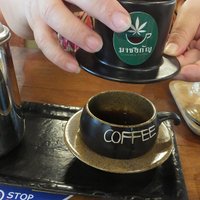 เอาใจสายเขียว! ภูมิภูเบศรชวนชิม "กาแฟกัญชาเจ้าแรกในประเทศไทย"