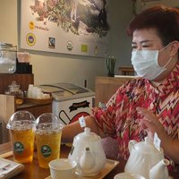 เอาใจสายเขียว! ภูมิภูเบศรชวนชิม "กาแฟกัญชาเจ้าแรกในประเทศไทย"