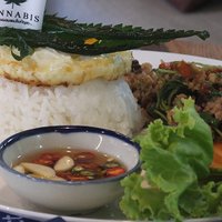 เอาใจสายเขียว! ภูมิภูเบศรชวนชิม "กาแฟกัญชาเจ้าแรกในประเทศไทย"