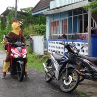 เข้าใจคิด ชีวิตเปลี่ยน! ไรเดอร์แต่งชุดไก่ ส่งข้าวเหนียวไก่ทอด