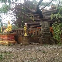 มหันตภัยพายุถล่มเมือง! พายุหมุนทำต้นไม้ 300 ปี ล้มทับศาลาวัดอายุ 600 ปี พังทั้งวัด