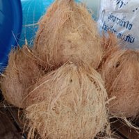 ยายเจ๋งสู้โควิด ห่อข้าวหมากสมุนไพร ฟันกำไรเดือนละกว่า 10,000 บาท