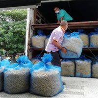 ซื้อขายรังไหมอุตสาหกรรมระบบเกษตรพันธสัญญาผ่านระบบออนไลน์