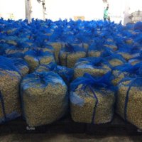 ซื้อขายรังไหมอุตสาหกรรมระบบเกษตรพันธสัญญาผ่านระบบออนไลน์