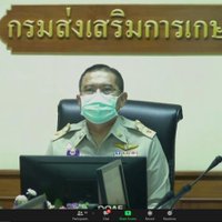 เกษตรเร่งรัดโครงการ 1 ตำบล 1 กลุ่มเกษตรทฤษฎีใหม่ ดันให้เสร็จตามเป้า