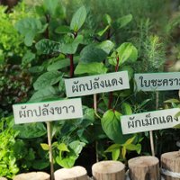 เกษตรเร่งรัดโครงการ 1 ตำบล 1 กลุ่มเกษตรทฤษฎีใหม่ ดันให้เสร็จตามเป้า