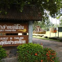 ต้นลำเจียกโบราณ  ออกดอกครั้งแรกในรอบ 1,300 ปี