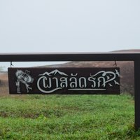 บรรยากาศสดชื่นรายล้อมหมอก ที่โครงการพัฒนาป่าไม้ฯ ภูหินร่องกล้า