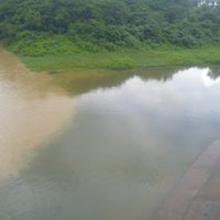 แปลกตา ธรรมชาติรังสรรค์! ฝนตกหนักเกิดปรากฏการณ์น้ำสองสี กลางน้ำวังเมืองลำปาง
