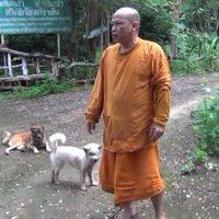 พระต้องติดป้ายเตือนห้าม ขโมยหมาเจ้าพ่อ
