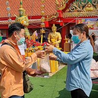 หัวหมูแพง ชาวบ้านถูกหวยเกือบครึ่งล้าน ขนไก่ 500 ตัว แก้บน ก่อนแจกชาวบ้าน