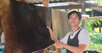 สุดทึ่ง! ภูมิปัญญาทำหนังควายเค็ม ช่วงหนาวสู้โควิดฟันเดือนละแสน