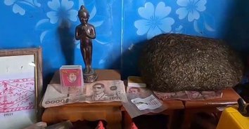 ของนำโชค ในตำนาน!  อ้วกหมูป่าของดีอาถรรพ์ลี้ลับให้โชค
