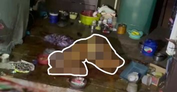 สัญชาตญานโหด โคตรคนคลั่ง! ลูกสะใภ้เมาโหด ฟันแม่ผัววัย 92 ดับ คากองเลือด
