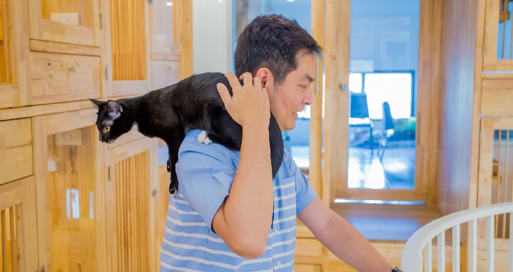 //s.isanook.com/ss/0/ud/0/4589/sanook77.jpg