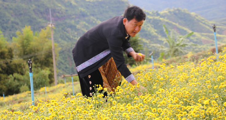 ภ ท บส บ านน ำจวง ชมท งดอกเก กฮวยข นบ นได ไร อง นไร เมล ด จ บชาตามว ถ ธรรมชาต ข าวภ ม ภาค