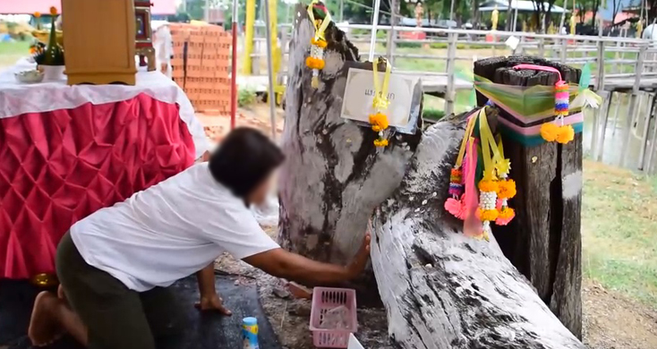 เลขเด็ด! ทั้งใหญ่ทั้งขาวทั้ง 3 ต้น เซียนหวยยิ้มหวานตัวเลขโผล่ให้เห็นกันชัดๆ
