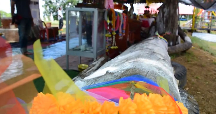 โค้งสุดท้าย แห่ส่องเลขเด็ดต้นตะเคียน หลังให้โชคถูกรางวัล 2 งวดติดกัน
