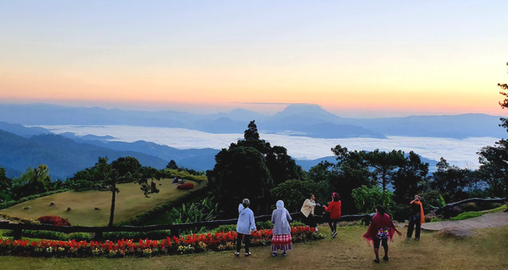 หนาวนี้ที่ห้วยน้ำดัง ชมดอกไม้สวยงาม สัมผัสทะเลหมอกอลังการ