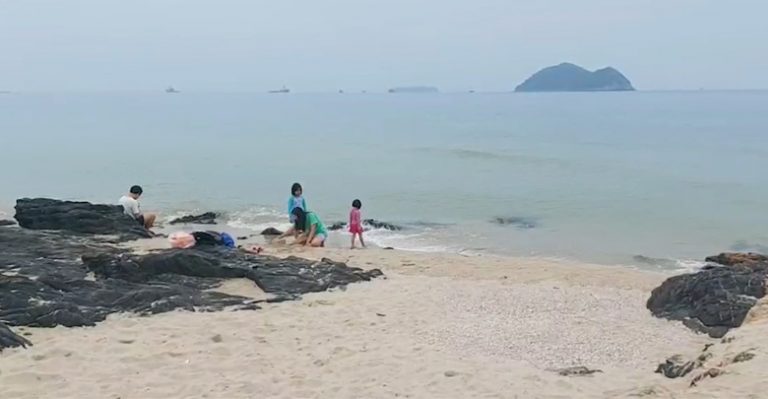 สวยอันตราย! ชายหาดสมิหลาอันตรายแมงกะพรุนพิษอาละวาด