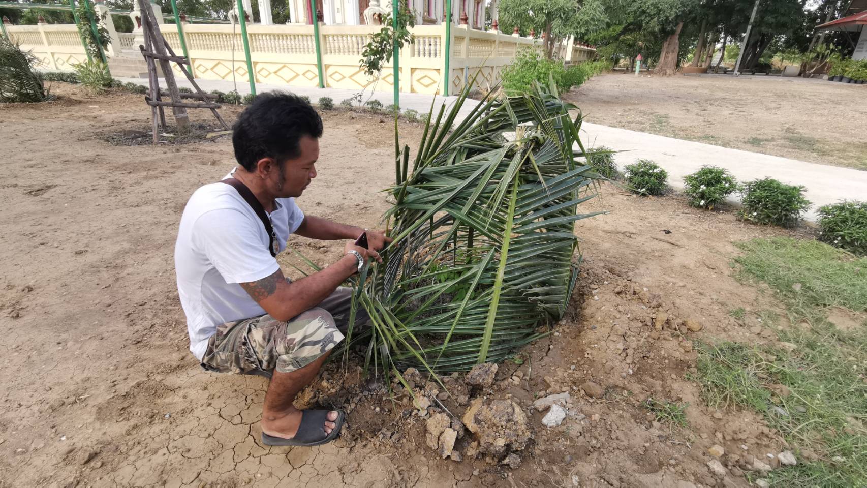 แห่ส่งเลขฟันพ่อเฒ่า กลายเป็นสีเขียวมรกตและอัฐิกลายเป็นสีทอง