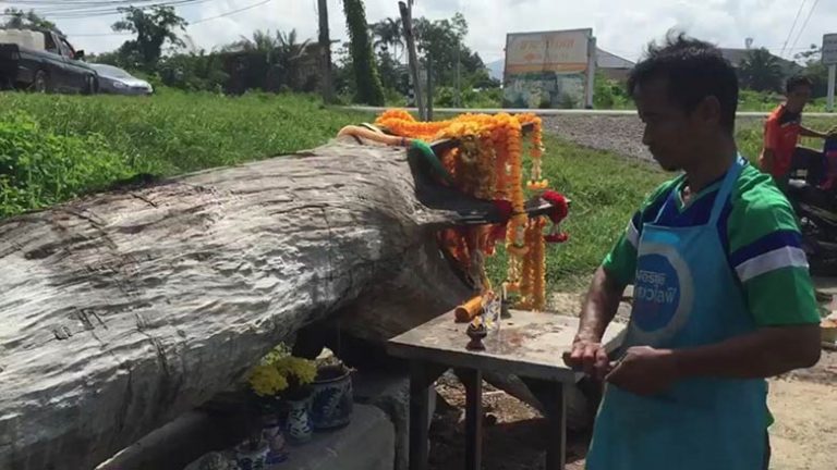 เจ้าของร้านถูกรางวัลสร้างศาลใหม่เจ้าแม่ตะเคียน