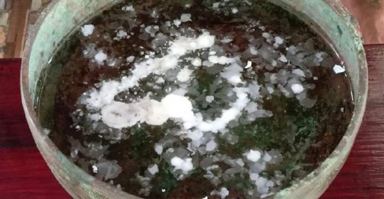 ส่องเลขต้นตะเคียนปราจีนบุรี หลังให้หวยแม่นงวดก่อนนี้