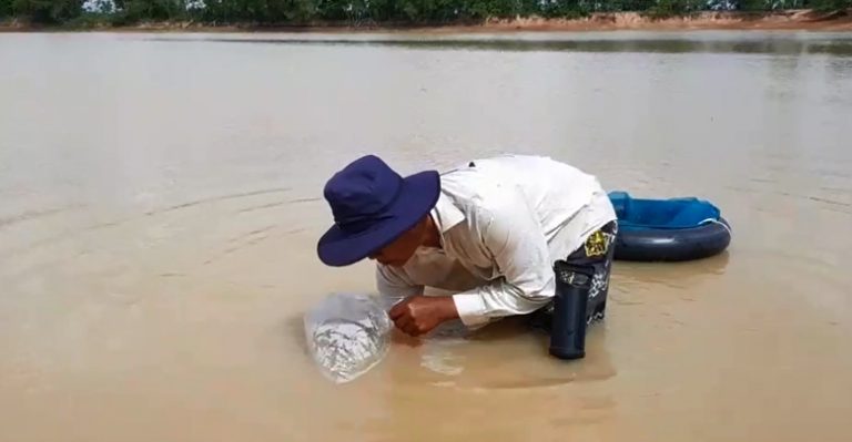 ไอเดียวแจ่ม! ใช้กระบอกไม้ไผ่ดักจับปลาซิว แบบภูมิปัญญาชาวบ้าน
