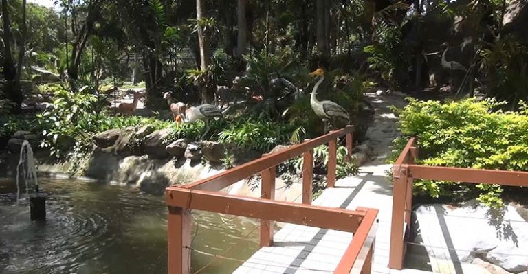 สวนสัตว์สงขลา เนรมิตป่าอเมซอนแลนด์มาร์คใหม่