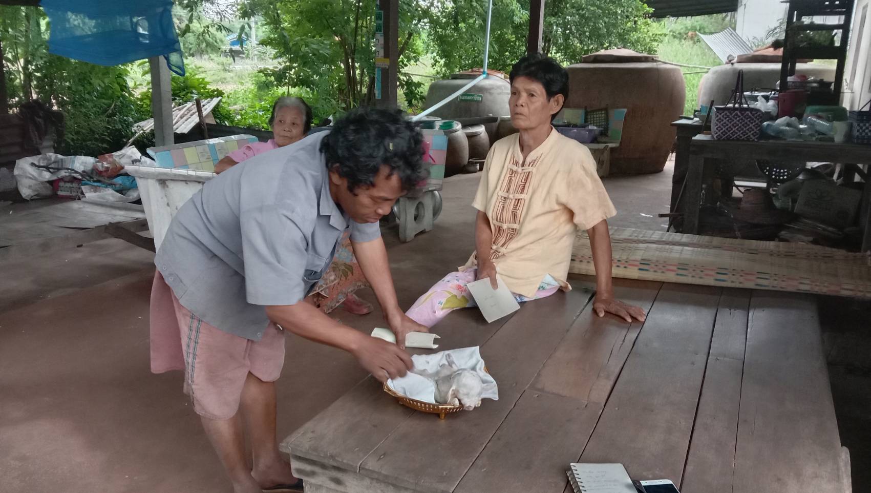 เทวดาเข้าฝัน! ก่อนพบลูกหมูประหลาดมี 8 ขา เชื่อเป็นลูกหมูให้โชค