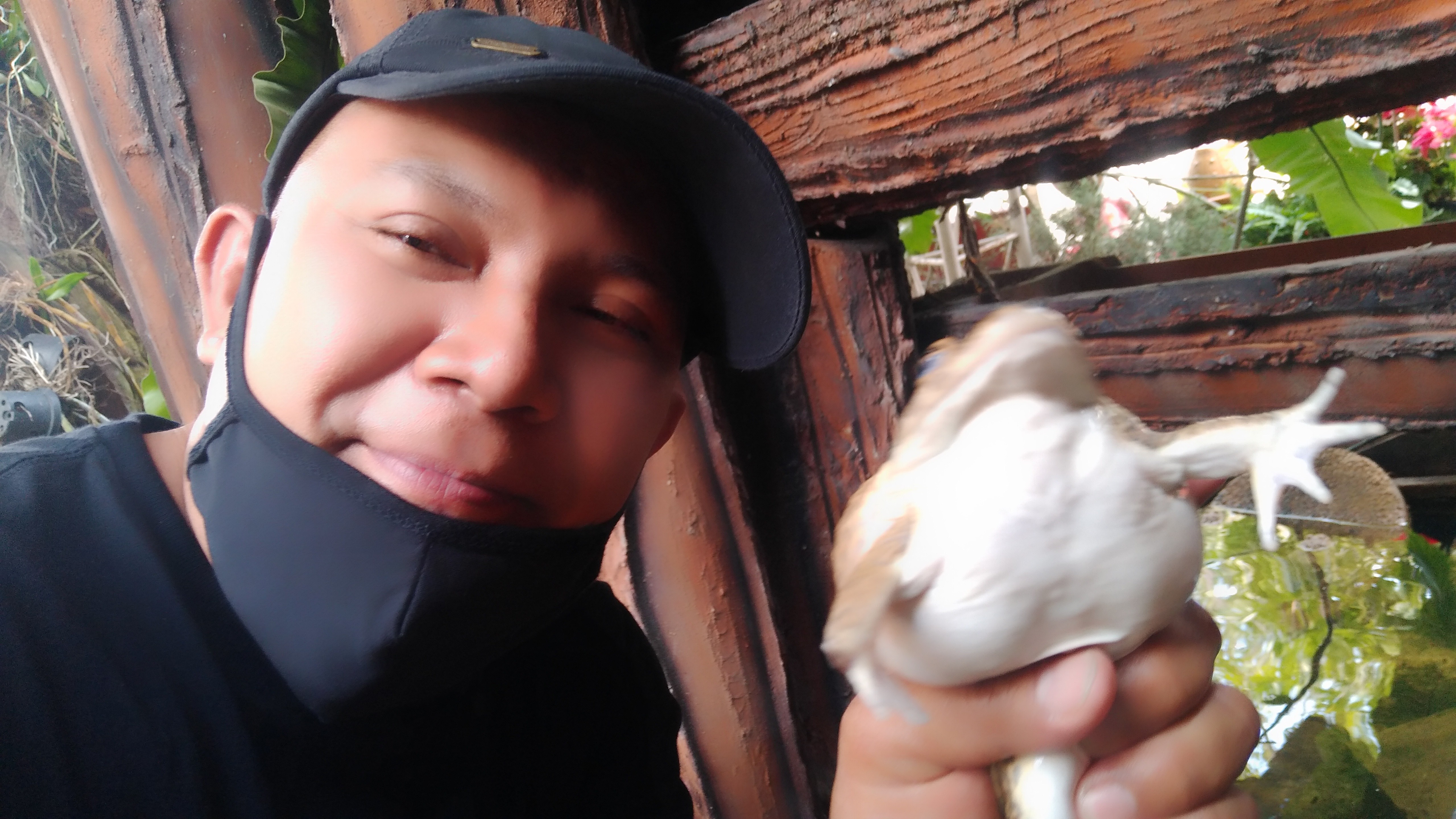 กบแสนรู้! ชอบเก๊กหล่อถ่ายรูป ยิ้มกว้างเลยสิ