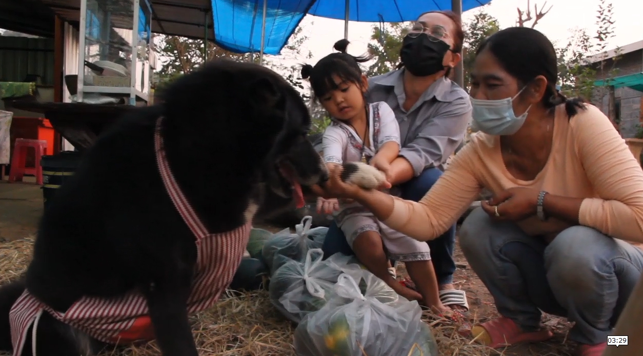 น้องน่ารัก! โคล่าเจ้าตูบแสนรู้ ช่วยเจ้าของขายแตงโม