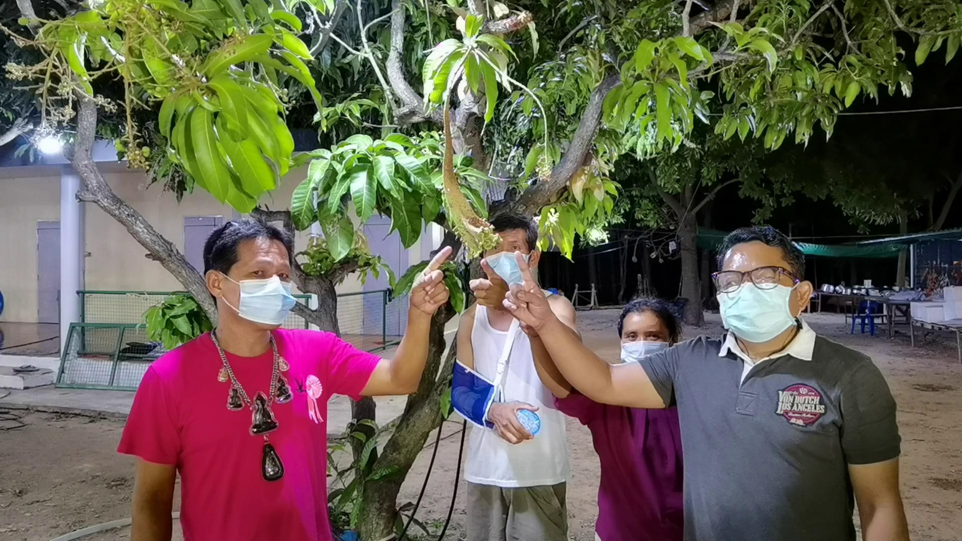 โชคมารวย! ต้นมะม่วงประหลาด ออกดอกเป็นงวงช้าง ปลายเป็นดอกหงอนไก่