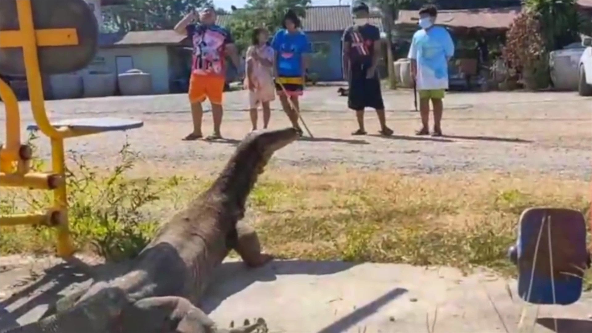 เอ็งมาไง! ตัวใหญ่มาก โผล่สนามเด็กเล่น มีกระเจิง(ชมคลิป)