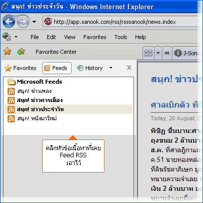 ภาพตัวอย่างที่2 แสดงรายละเอียดบันทึกการเก็บFeedข้อมูลของ IE7