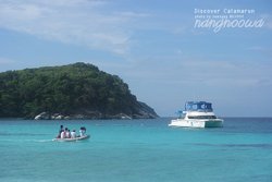 :: นั่งเรือกินลม ชมโลมาเล่นคลื่น เริงรื่นสุดชิลล์ ชมวิวเกาะราชาน้อย ::