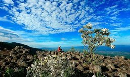 ภูหินร่องกล้า สมรภูมิประวัติศาสตร์และธรรมชาติที่แสนอัศจรรย์