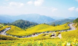 ได้เวลาขึ้นเหนือไปเจอลมหนาว กับ10 สถานที่ท่องเที่ยวสุดฮิตรับหน้าหนาว