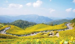 5 เส้นทางขับรถเที่ยวที่สวยที่สุดในเมืองไทย