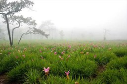 7 สิ่งมหัศจรรย์..ความงดงามแห่งภาคอีสาน