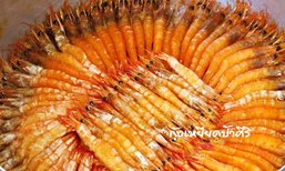 เคยทานกันไหม? "กุ้งเหยียด" ของดีจากบ้านสาขลา จังหวัดสมุทรปราการ!!