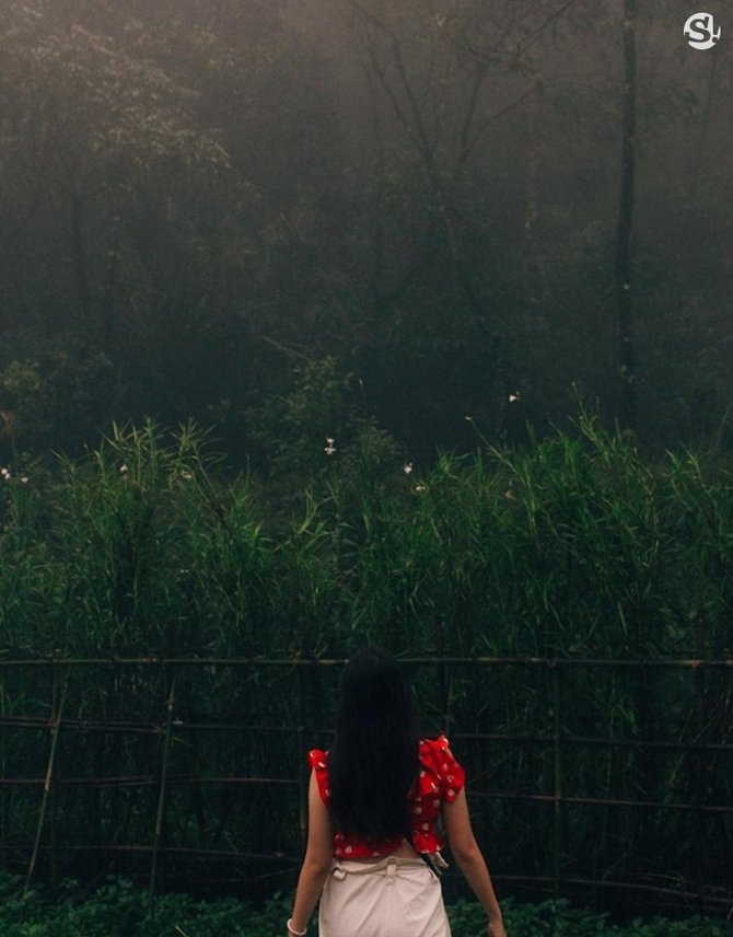 37930258_1812826902131925_230